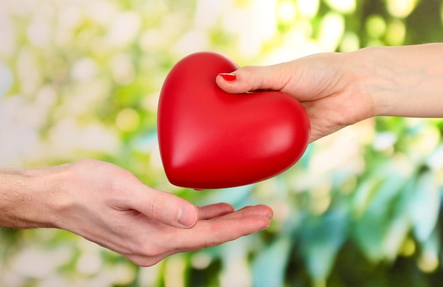 Coeur rouge dans les mains de la femme et de l'homme, sur fond vert