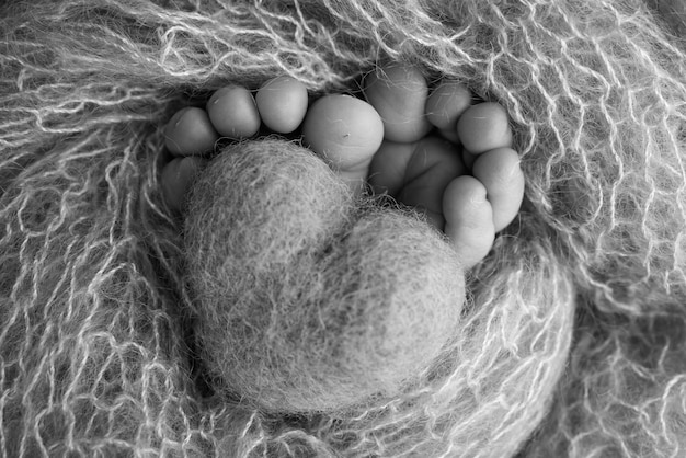 Coeur tricoté dans les jambes d'un bébé Pieds doux d'un nouveau-né dans une couverture de laine Gros plan des orteils talons et pieds d'un nouveau-né Macro photographie noir et blanc le petit pied d'un nouveau-né