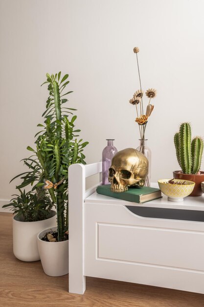 Un coffre en bois blanc avec des pieds entouré de plantes et d'objets décoratifs