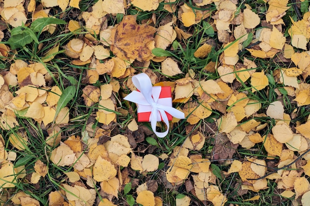 Coffret cadeau en automne les feuilles tombées au sol dans le parc