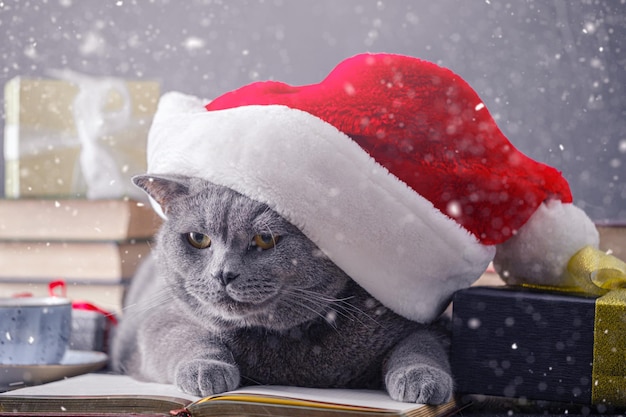 Coffret cadeau à côté d'un chat mignon portant un chapeau de père Noël sur fond de lumières de Noël floues et de cadeaux sous la neige qui tombe