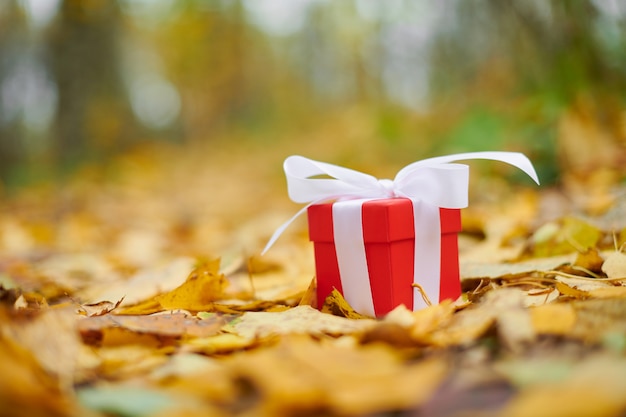 Coffret cadeau en feuilles d'automne