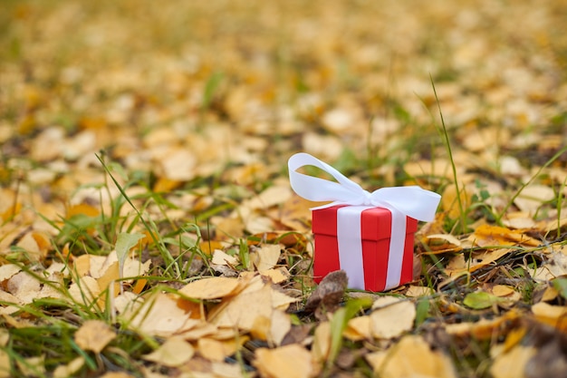 Coffret cadeau en feuilles d'automne