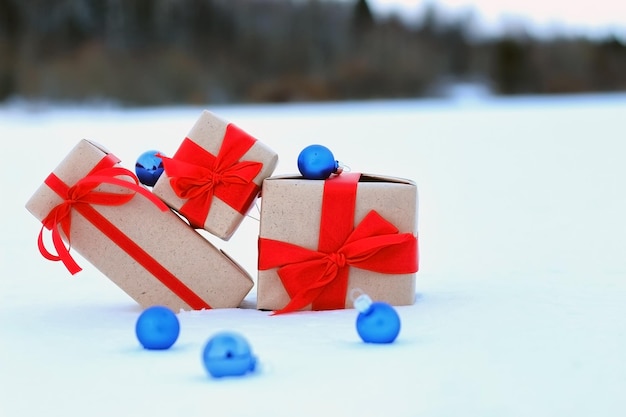 Coffret cadeau sur le paysage de l'arc de neige