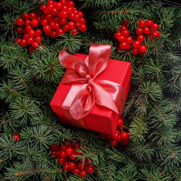 Coffret Cadeau Rouge Avec Noeud Rose Satiné, Plongé Dans Les Aiguilles D'un Sapin De Noël Décoré De Baies Rouges.