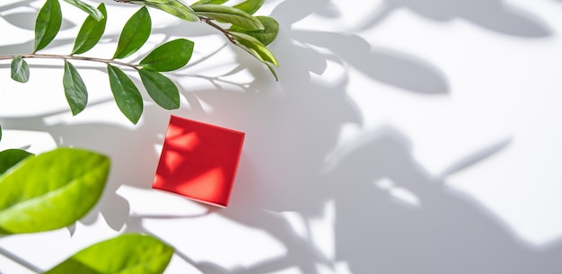 Coffret rouge sur table blanche sous les fleurs de printemps avec l'ombre du matin