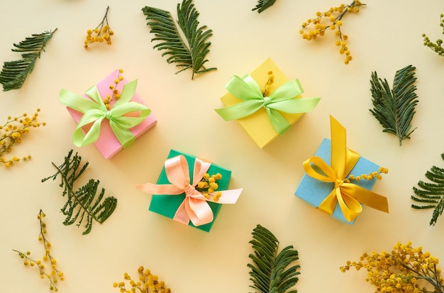 Coffrets cadeaux colorés avec des branches de mimosa sur la lumière