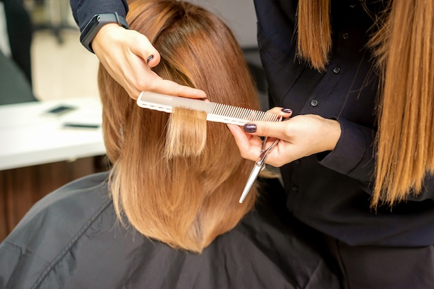 Coiffeur coupe les cheveux bruns à la jeune femme dans un salon de beauté