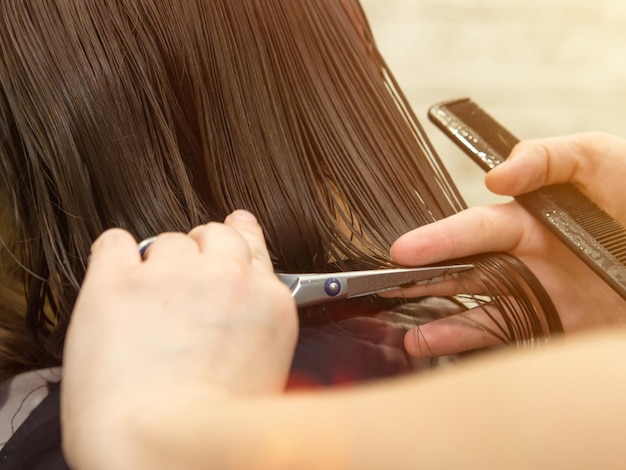 Coiffeur coupe les cheveux avec des ciseaux. Coupe de cheveux agrandi. Se débarrasser de ces pointes fourchues