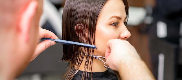 Le coiffeur coupe les cheveux mouillés d'une jeune femme de race blanche se peignant avec un peigne dans un salon de coiffure.