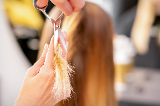 Le coiffeur coupe les extrémités des cheveux féminins avec des ciseaux concept de coupes de services de salon de beauté