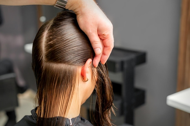 Le coiffeur divise les cheveux féminins en sections avec un peigne tenant les cheveux avec ses mains dans un salon de coiffure en gros plan.