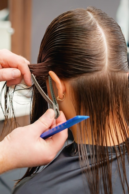 Le coiffeur peigne les cheveux de la jeune femme