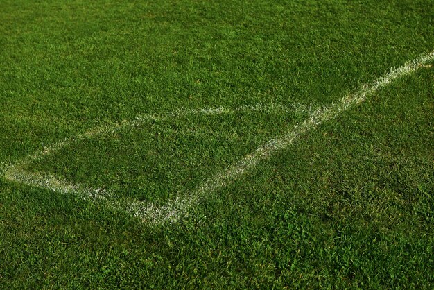 Coin du fond d'herbe verte du terrain de football