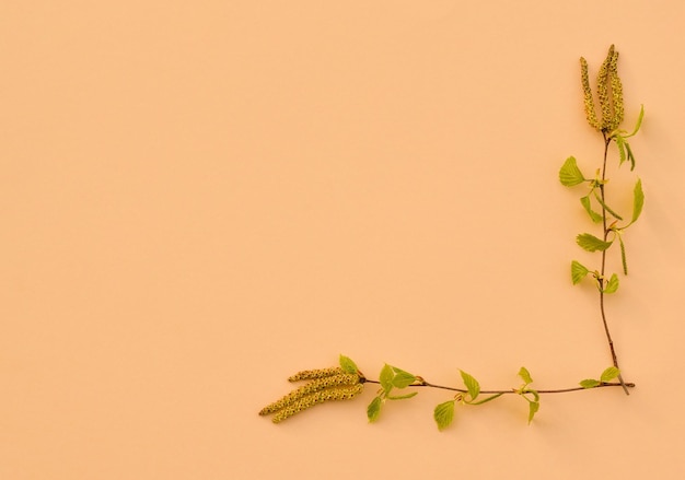 Coin fait de feuilles de printemps vertes sur fond pastel beige