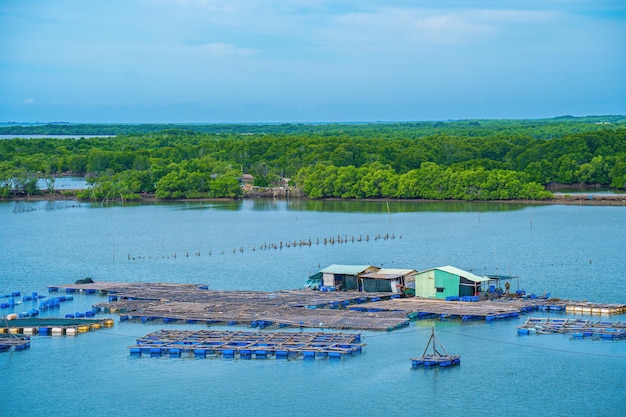 Un coin de la ferme d'alimentation des huîtres village de pêcheurs flottants dans la commune de Long Son province de Ba Ria Vung Tau Vietnam Les gens qui vivent et font de l'industrie du poisson d'alimentation au village flottant