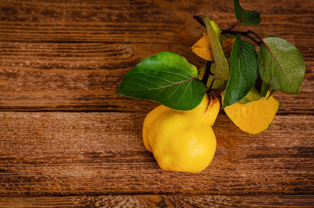 Coing jaune mûr sur fond rustique en bois. Copiez l'espace. Fruits de saison bio.