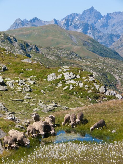 Col de bellardsavoiefrance