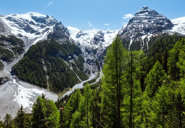 Col du Stelvio d'été avec forêt de sapins et neige à flanc de montagne (Italie)