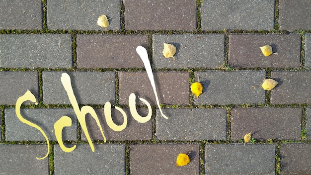 École d'inscription sur fond de route de briques avec de l'herbe germée entre et des feuilles d'automne jaunes