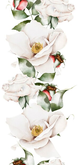 Collage de fleurs de bordure aquarelle de roses et de baies