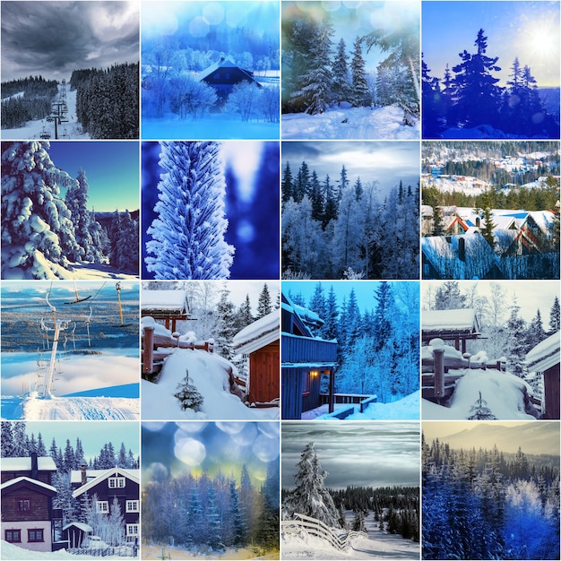Collage d'hiver