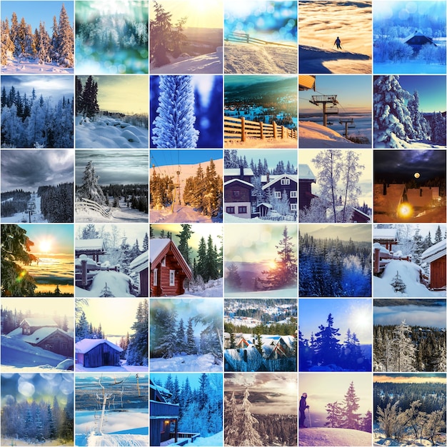 Collage d'hiver