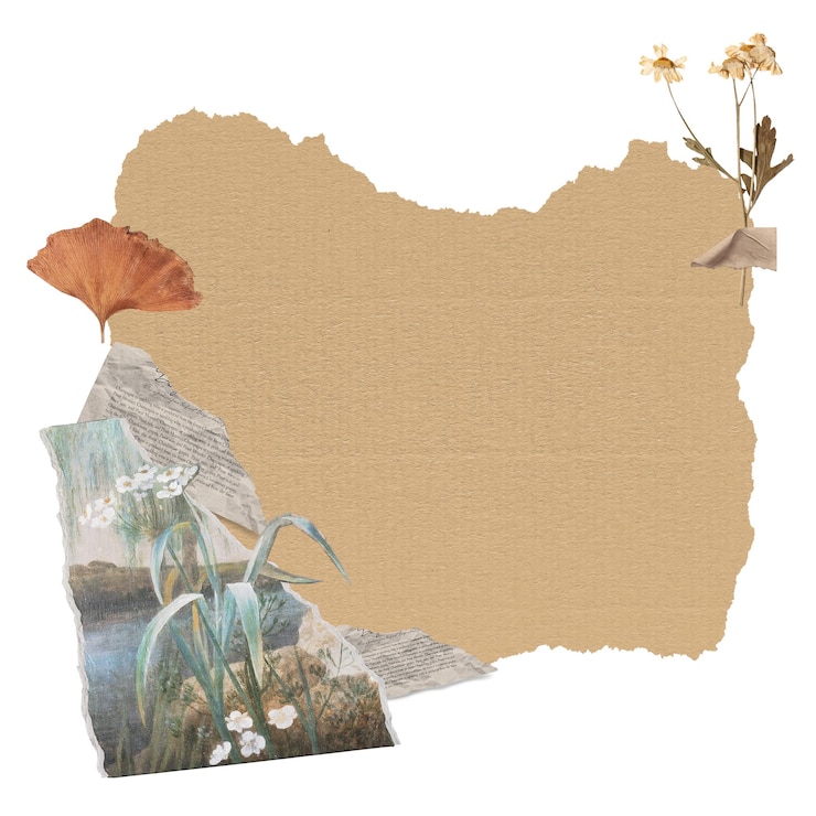 Photo le collage de papier d'automne est un autocollant png à fond transparent.