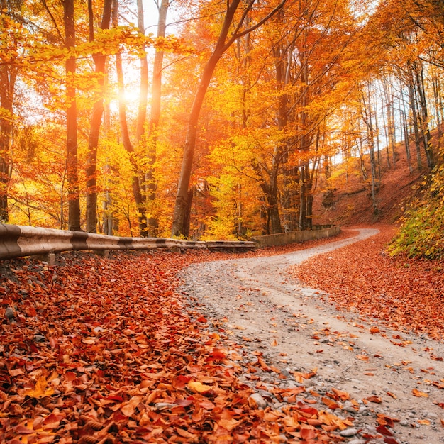 Collage de ruelle d'automne. Filtre de style rétro. Carpates Ukraine Europe