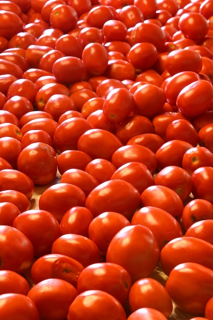 Collecte et purée de tomates faites à la main classiques avec un ancien fabricant de sauce à presse en métal