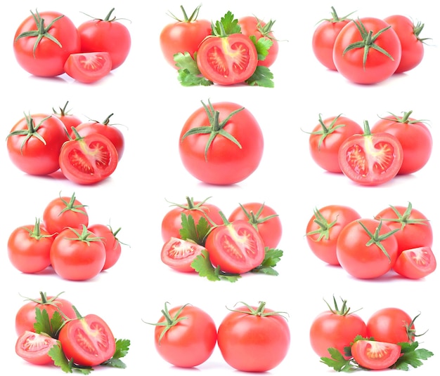 Collecte de tomates