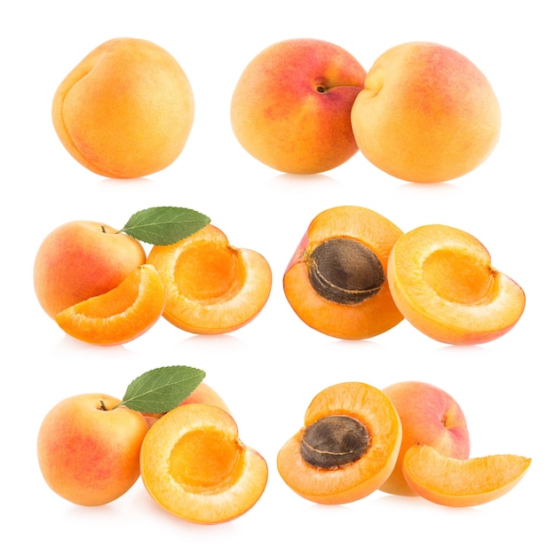 Collection de 6 images d'abricot