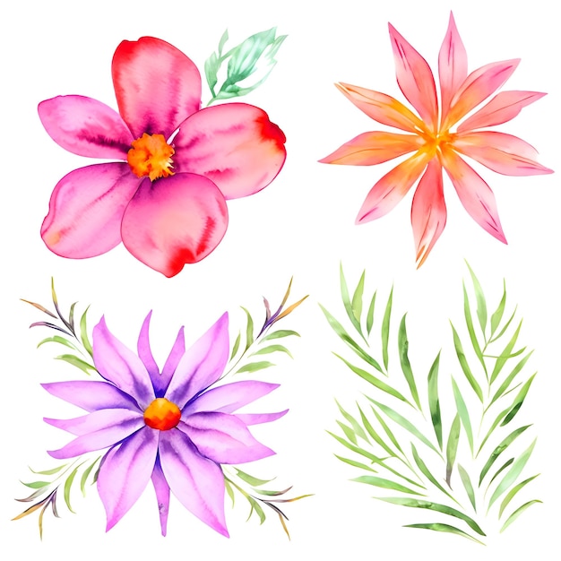 Une collection d'aquarelles florales et de feuilles colorées
