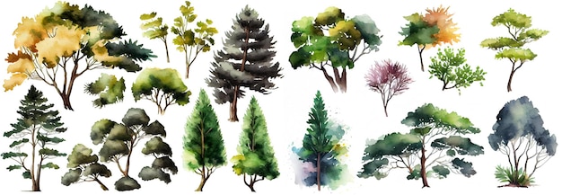 Collection d'arbres aquarelles Ensemble d'arbres dessinés à la main Pack d'arbres forestiers Generative Ai