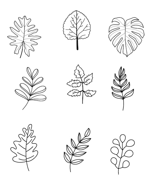 Collection d'art de ligne de feuille dessinée à la main Illustration vectorielle