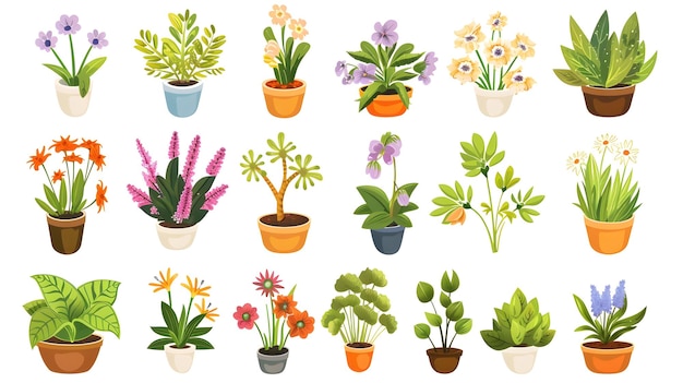Une collection botanique vibrante de plantes et de fleurs en pot pour la décoration et les arrière-plans naturels