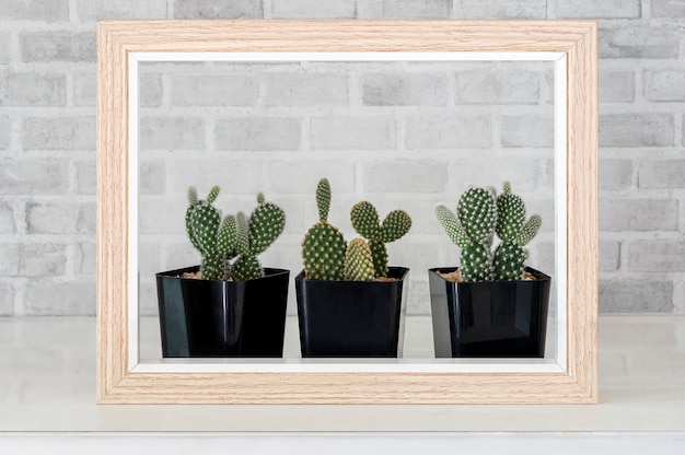 Collection de cactus et cadre en bois sur table