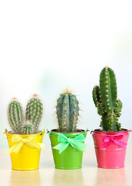 Collection de cactus dans des seaux lumineux sur table en bois