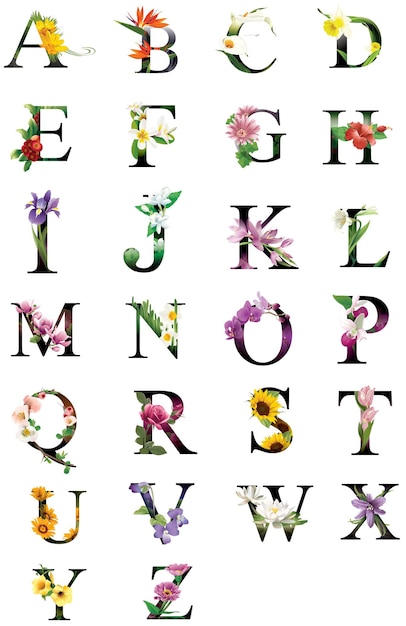 une collection colorée d'alphabets avec le mot " alphabet " dessus