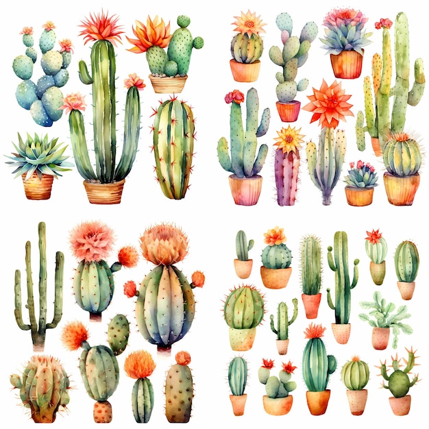 Une collection de différents types de cactus et de fleurs.