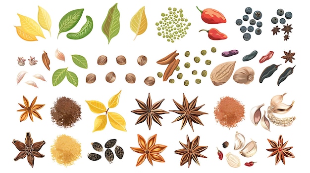 Une collection d'épices et d'herbes isolées sur un fond blanc