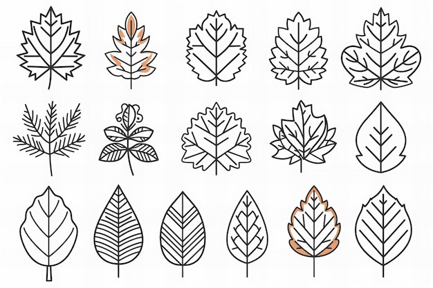 une collection de feuilles et d'arbres de la collection de l'automne