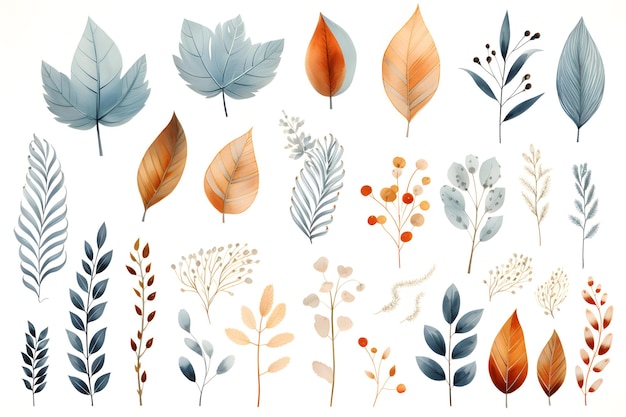 une collection de feuilles et de branches de différentes couleurs