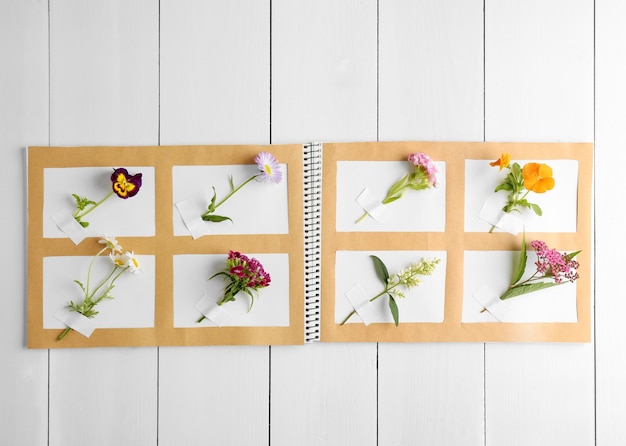 Photo collection de fleurs dans un cahier