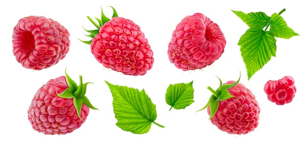 Photo collection de framboises isolée sur fond blanc avec un tracé de détourage