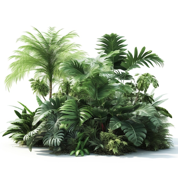 Une collection de plantes tropicales aux feuilles vertes