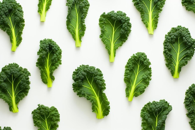 Photo une collection de têtes de brocoli sont montrées sur un fond blanc