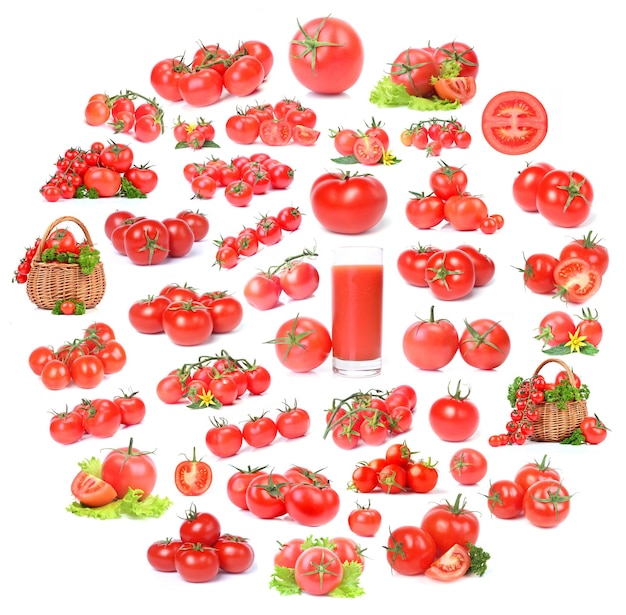 Collection de tomates sur fond blanc