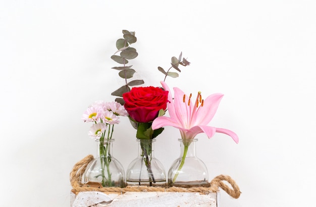 Collections de fleurs d'été dans de petits vases en verre