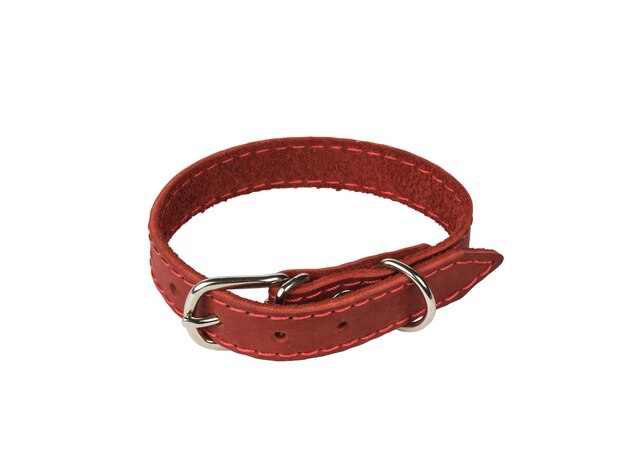 Un collier de chien rouge boutonné isolé sur fond blanc